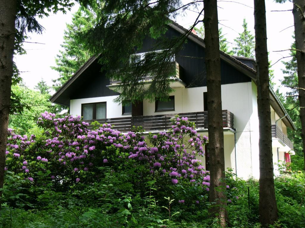 Haus Hirschmann Hotel Goslar Kültér fotó